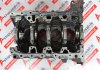 Engine block 11339R, M9T704, M9T706, M9T716 for RENAULT, OPEL, NISSAN