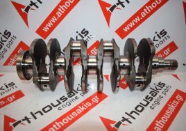 Kurbelwelle 8696, 1.3 Multijet, 55230849, 71779133 zum OPEL, FIAT, ALFA ROMEO 169A1, 188Α8, 188Α9, 199A2, 199A3, 199A9, 199B1, 199B2, 199B4, 223A9, 225A2, 263A2, 312A8, 312B1, 312B2, 330A1, A13FD, A13DTE, A13DTR, A13DTC, B13DTC, B13DTE, B13DTR