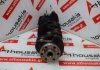 Albero motore 504, 0501J4 per PEUGEOT, CITROEN TU1 ( HFX, HFY, HFZ )