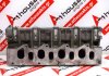 Culata 3557, 7701478571, 7701473497 para RENAULT, MITSUBISHI F9Q
