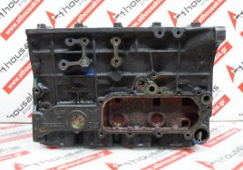 Engine block BD30, 11009-54T01 for NISSAN