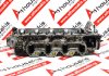 Cylinder Head 9200549, LDW1404 for LOMBARDINI