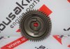 Rueda del árbol de levas 55573054 para OPEL, FIAT, ALFA ROMEO 