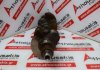 Kurbelwelle 7524842, N62B48A, N62B48B, 11210396404 zum BMW N62B48A, N62B48B