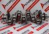 Cigüeñal 504018150, 5801486982, 504017281 para FIAT, IVECO F1AE0481, F1AE3481