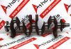 Cigüeñal 1NZ, 13401-21040 para TOYOTA 1NZ-FXE