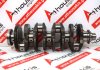 Cigüeñal D4HB, 23110-2F110 para HYUNDAI, KIA D4HB