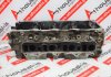 Zylinderkopf YD25, 11040-5X00A zum NISSAN YD25