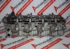 Culasse D5C, 4D56U, 1005A560, 1005B452 pour MITSUBISHI 4D56U