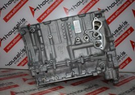 Motorblock 9813721110, 1623126580 zum PEUGEOT, CITROEN, OPEL 