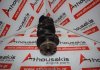 Albero motore 86SMBAA per FORD 