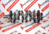 Crankshaft 0597, M9R for NISSAN, OPEL, RENAULT M9R