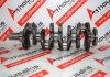 Crankshaft 0597, M9R for NISSAN, OPEL, RENAULT M9R