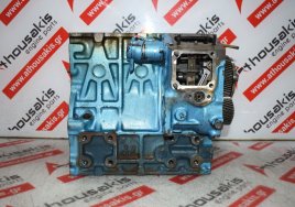 Motorblock D1005 zum KUBOTA D1005