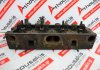 Culasse 37116990 pour PERKINS 