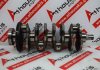 Vilebrequin 67105, 55576032, 55565818, 55567103, 55207150, 55585161, 95514208 pour OPEL, ALFA ROMEO, FIAT 198A5, 263A1, 844A2, 939B3, 939B4, 939B5, 940A4, 940A5, 940A7, 940A8, 940B9, 940C3, 940C4, A20DTH, A20DTC, A20DTJ, A20DTL, A20DTR, Y20DTJ, Z20DTJ