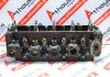 Zylinderkopf 94FF6090AA, 1018562, 6534656 zum FORD 