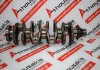 Kurbelwelle YC1QAA, 2.2-2.4 TDCi, 0501N9, 0501L1, 1134705, 1338619, 1675258, 1738588, 71724199, 71789894, 71789896, 9659136580, 9676251280, 3C1Q6303AA, 4C1Q6303BA, LR004413 zum FORD, CITROEN, FIAT, PEUGEOT, MAZDA, LAND ROVER P8FA, PGFA, QVFA, QWFA, SRFA, CVF5, CVFF, CY14, CYF4, CYF5, CYFA, CYFB, CYFC, CYFD, CYFF, CYFG, DRF4, DRF5, DRFA, DRFB, DRFC, DRFD, DRFF, DRFG, UHFB, USF6, CV24, CVR5, CVRA, CVRB, CVRC, CY24, CYF5, CYRA, CYRB, CYRC, DRR5, DRRA, DRR5, DRRC, UHR5, USR6, USRA, USRB, UYR6 GBVAJPF, GBVAJQW, GBVAJQJ, 4HU, 4HV, 4HM, 4HG, 4HH, 4HJ, 4H03, P4-AT, ZSD-422, D2FA, D4FA, D0FA, F4FA, FXFA, H9FA, H9FB, H9FD, JXFA, PHFA, PHFC, CYR5,  QJ2R, QJ2W