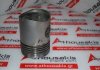 Pistone 115P38, F6L814, F10L814, F12L814 per DEUTZ F6L814, F10L814, F12L814