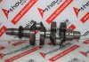 Crankshaft 1050785, 9LD561-2, KD625-2, 9LD625-2 for LOMBARDINI 9LD561-2, KD625-2, 9LD625-2