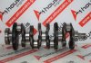 Kurbelwelle 745, 71779378, 71775285, 68229261ΑΑ zum FIAT, JEEP 55263087, 55263088, EBS, EBT, LMY61