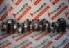 Kurbelwelle D0226, 51021017375 zum MAN D0226