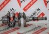 Albero motore 72TK, 2TN72, 2TN75 per YANMAR 2TN72, 2TN75