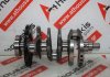 Vilebrequin 55267704, 55267705 pour FIAT 55268023, 46341162