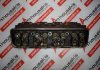 Zylinderkopf 10110810 zum GM, CHEVROLET, MERCRUISER 