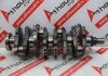 Kurbelwelle 233, 0501K1, 9828725580 zum PEUGEOT, CITROEN, FORD, FIAT DW12RUC, DW12RUD, DW12RUE, 4HA, 4HB, 4HH, 4HY, 4H03, BNF