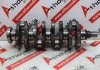 Kurbelwelle 233, 0501K1, 9828725580 zum PEUGEOT, CITROEN, FORD, FIAT DW12RUC, DW12RUD, DW12RUE, 4HA, 4HB, 4HH, 4HY, 4H03, BNF