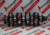 Crankshaft 4C1QAA, 1338618, 4C1Q6303AA for FORD FIFA, FMBA, FMBB, N7BA, HJBA, HJBB, HJBC, ABFA, D3FA, D5BA, F3FA