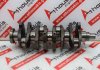 Crankshaft 950, 7700585024 for RENAULT J8S