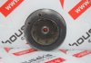 Poulie damper 7700112999 pour RENAULT 