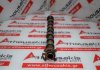 Nockenwelle H4P36A270DC, PT204, AJ20P4 zum LAND ROVER, JAGUAR PT204, AJ20P4