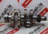 Cigüeñal 2TNV70, 119415-21700 para YANMAR 2TNV70