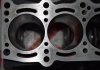 Блок цилиндров 55228808, TURBO для FIAT 