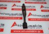 Biela 1004050 para LADA 
