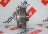 Nockenwellenrad 55181254 zum FIAT, ALFA ROMEO 