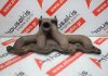 Collettore di scarico 135317, 034189 per PEUGEOT, CITROEN 