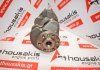 Crankshaft HNZ, HNY, HN01, 1610812580 for PEUGEOT, CITROEN HNY, HNZ, HN01