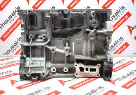 Monoblocco RFEJ7E-6015DC per FORD 