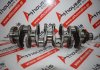 Crankshaft XS7Q, 1338618, 4C1Q6303AA for FORD FIFA, FMBA, FMBB, N7BA, HJBA, HJBB, HJBC, ABFA, D3FA, D5BA, F3FA