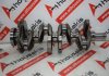 Crankshaft 4062, 71779985, 55273835, EC1, EC3 for ALFA ROMEO, JEEP 55273835, EC1, EC3