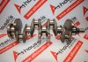 Kurbelwelle 425, 0501K7, 0501NS, 2259739 zum PEUGEOT, CITROEN, FORD DW10FE, DW10FUE, DW10FUD, DW10FD, DW10CDCU, DW10FC, AH01, AH02, AH03, AHH, AHJ, AHK, AHM, AHN, AHP, AHR, AHS, AHV, EHS, EHT, EHY, EHC, RHD, RHE, RHH, RH02, TXWA, T7CA, T7CC, TCCD, T7CE, T7CF, T7CI, T7CJ, T7CK, T7CL, T7CN, T7DB, T7MA, T7MB, T8CA, T8CD, T8CG, T8CH, T8CI, T8CJ, T8CL, T8DA, T8DE, T8MA, T8MB, UFCA, UFCB, XRMA, XRMB