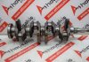 Cigüeñal 1829, 9125713 para VOLVO B4164S, B4164S2