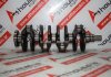 Albero motore 483, 1456892, 7M5Q6303AB, 9652985288, 0501K6, 9800993080, 31259217 per PEUGEOT, CITROEN, FORD, VOLVO 9HC, 9HD, 9HH, 9HF, 9HJ, 9HL, 9HM, 9HN, 9HP, 9HR, 9HT, 9HU, 9HV, 9HW, 9H05, 9H06, BH01, BH02, BH06, BHX, BHV, BHZ, BHY, BHW, G8DA, G8DB, G8DC, G8DD, HHJA, HHJB, HHJE, HHJC, HHDA, HHDB, GPDA, GPDC, MTDA, KVJA, NGCA, T1BA, T1BB, T1BC, T1DA, T1DB, T1WA, T1WB, T3CA, T3CB, T3CC, T3DA, T3DB, T3JA, TZGA, TZGB, TZJA, TZJB, U3CA, UGCA, UGCB, UGCC, UGJC, UGJE, UGJG, UGJM, XUCA, XUCC, XUCD, XUJA, XUJB, XUJC, XUJD, XUJE, XUJF, XUJG, XUJH, XUJK, XUJL, XUJM, XUJN, XVCA, XVCB, XVCC, XVJC, XVJD, XWCA, XWCB, XWDA, XWDB, XWDC, XWDD, XWDE, XWGA, XWGB, XWGC, XXDC, D4162T