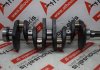 Vilebrequin 7730851, 5890247, 5882206, 5888594, 5882223 pour FIAT 160A6, 154C6, 160A7, 160D1, 149B1, 230A2, 230A3, 230A4, 280A1, 175A1, 836A3, 160A8