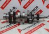 Crankshaft L3C, L3E, 30L20-00501, 30N20-00101, MM432858 for MITSUBISHI, CATERPILLAR L3C, L3E