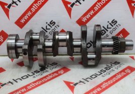 Kurbelwelle 729350-21700, 129001-21000 zum YANMAR, KOMATSU 3TNV84, 3TNV86, 3TNV88, 3D84, 3D86, 3D88